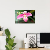 Mooie roze orchidee poster (Thuiskantoor)