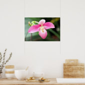 Mooie roze orchidee poster (Keuken)