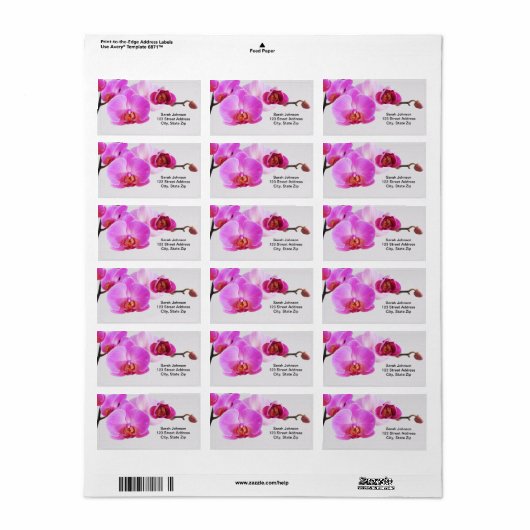 Mooie roze orchideeën etiket (Full Sheet)