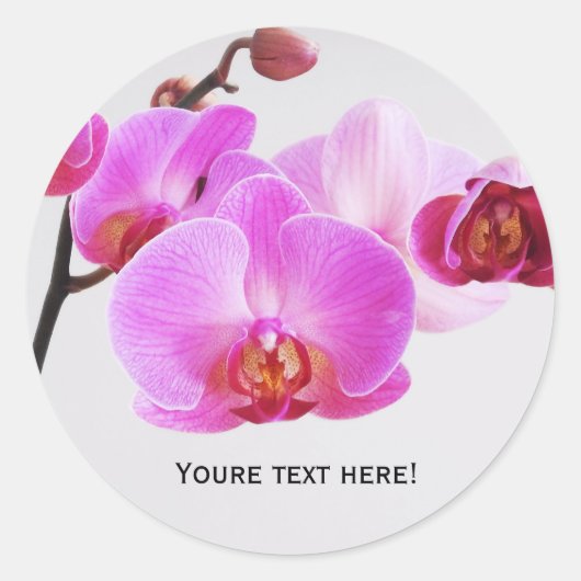 Mooie roze orchideeën ronde sticker (Voorkant)