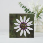 Mooie Roze Osteosperum Jouw tekst Platte Kaart (Staand voorkant)