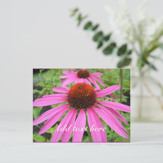 mooie roze paarse bloemen briefkaart (Staand voorkant)