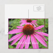 mooie roze paarse bloemen briefkaart (Voorkant / Achterkant)