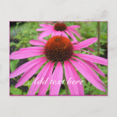 mooie roze paarse bloemen briefkaart (Voorkant)