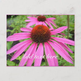 mooie roze paarse bloemen briefkaart