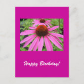 mooie roze paarse bloemen briefkaart (Voorkant)