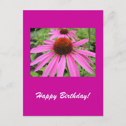 mooie roze paarse bloemen briefkaart (Voorkant)