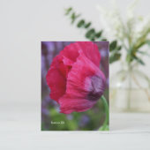 Mooie roze & Paarse klaproos Briefkaart (Staand voorkant)