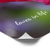 Mooie roze & Paarse klaproos Perfect Poster (Hoek)