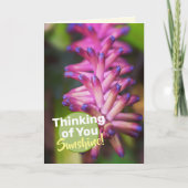 Mooie Roze Paarse Lucilia Plant Bloem Kaart (Voorkant)