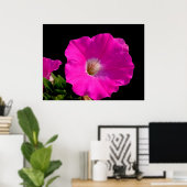 Mooie roze petunia bloem in zwart poster (Thuiskantoor)