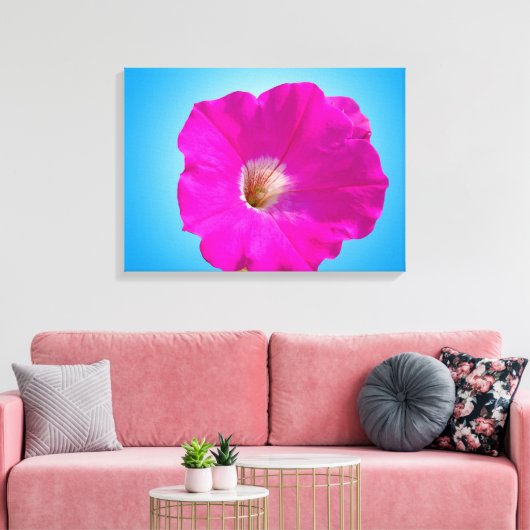 Mooie roze petunia-bloem op blauwe achtergrond. canvas afdruk (Insitu (Woonkamer))