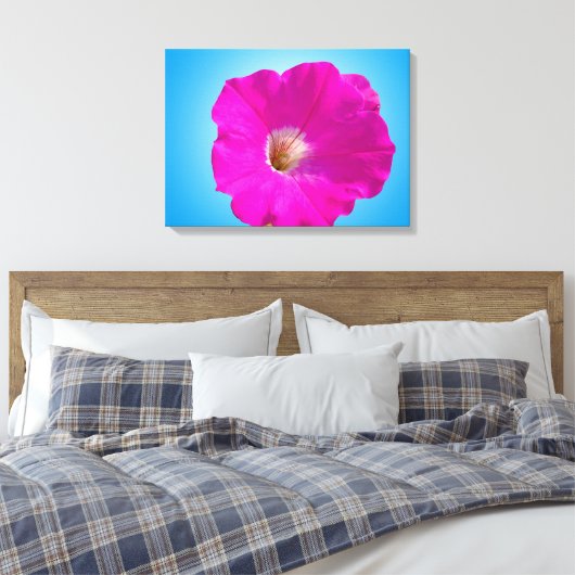 Mooie roze petunia-bloem op blauwe achtergrond. canvas afdruk (Insitu (Slaapkamer))