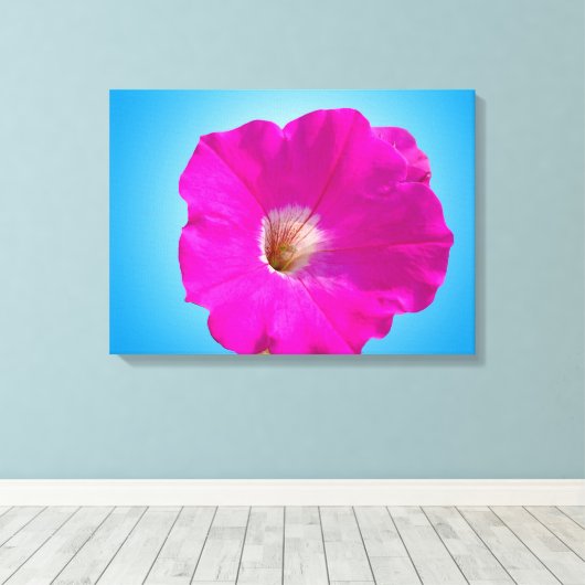 Mooie roze petunia-bloem op blauwe achtergrond. canvas afdruk (Insitu (Houten vloer))