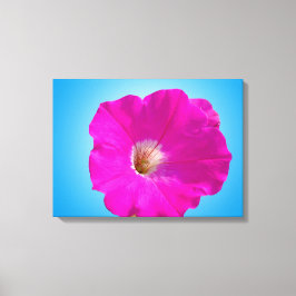 Mooie roze petunia-bloem op blauwe achtergrond. canvas afdruk