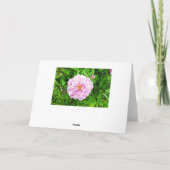 Mooie roze Pioen Blanke kaart (Achterkant)