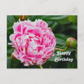 Mooie Roze Pioen Bloemige Foto Verjaardag Briefkaart (Voorkant)