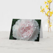 Mooie Roze Pioen Kaart (Gele Bloem)