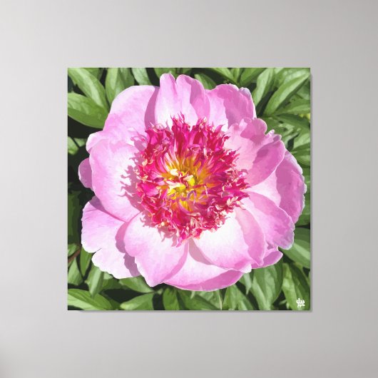 Mooie roze pioen op canvas. canvas afdruk (Voorkant)