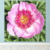 Mooie roze pioen op canvas. canvas afdruk (Insitu (Houten vloer))
