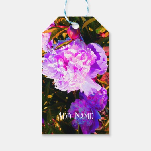 Mooie Roze Pioenrozen Cadeaulabel (Voorkant)