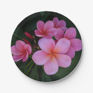 Mooie roze plumeria bloem foto papieren bordje