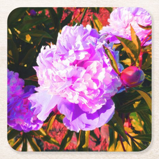 Mooie roze pony's kartonnen onderzetters (Voorkant)