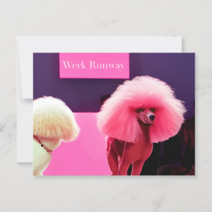 Mooie Roze Poodle Catwalk Verjaardagsansichtkaart Briefkaart
