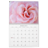 Mooie Roze Prinses Rozen Tuinkalender Rozen Kalender (Mar 2027)