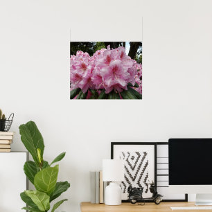 Mooie Roze Rhododendron Bloesems Bloemen Poster