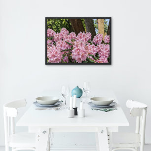 Mooie roze Rhododendron Blooms Floral Perfect Poster
