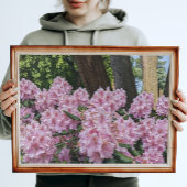 Mooie roze Rhododendron Floral Foto Afdruk