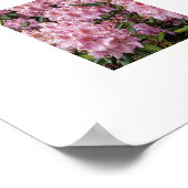 Mooie Roze Rhododendrons Bloemen Poster (Hoek)