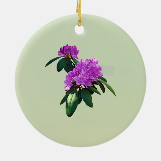 Mooie roze Rhododendrons Keramisch Ornament (Achterkant)