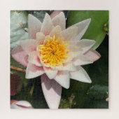 Mooie Roze rioolwaterLily, Lotus Blossom Legpuzzel (Horizontaal)