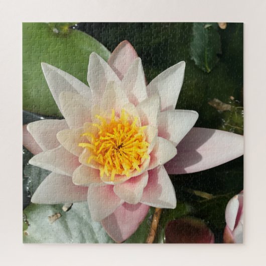 Mooie Roze rioolwaterLily, Lotus Blossom Legpuzzel (Verticaal)