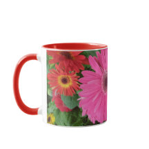 MOOIE ROZE RODE GERBERA BLOEMEN EN BLOEMNAAM