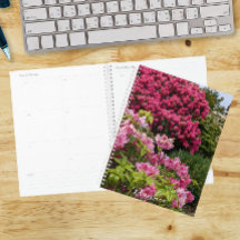 Mooie Roze Rododendron Bloesems Bloemen