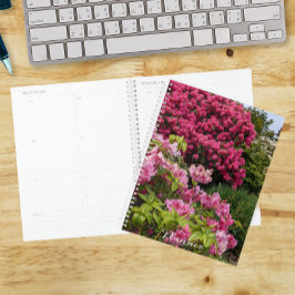 Mooie Roze Rododendron Bloesems Bloemen Planner
