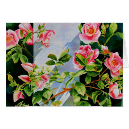 Mooie roze rood witte rozen waterverf bloemenmolen