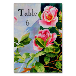 Mooie roze rood witte rozen waterverf bloemenmolen kaart