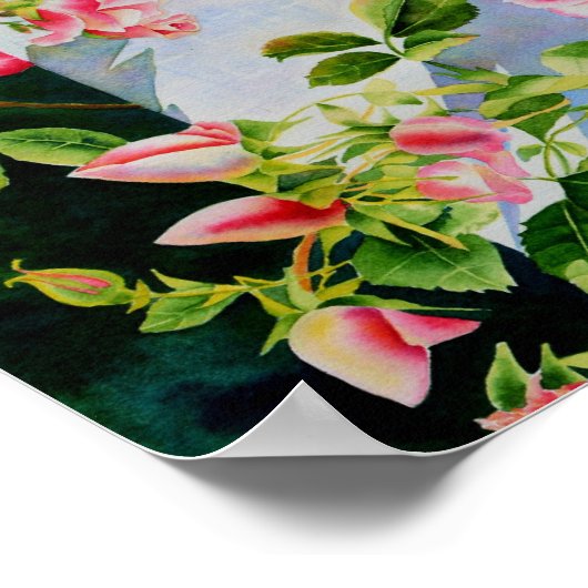 Mooie roze rood witte rozen waterverf bloemenmolen poster (Hoek)