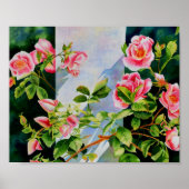 Mooie roze rood witte rozen waterverf bloemenmolen poster (Voorkant)