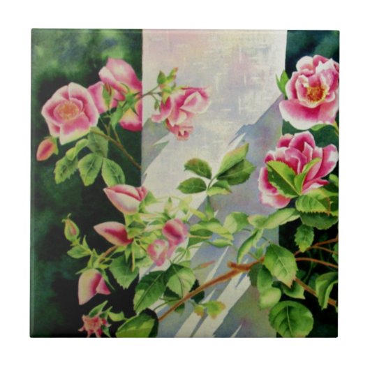 Mooie roze rood witte rozen waterverf bloemenmolen tegeltje (Voorkant)