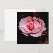 Mooie Roze Roos Bedankkaart (Voorkant / Achterkant)