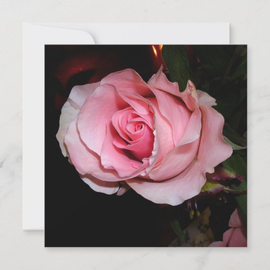 Mooie Roze Roos Bedankkaart (Voorkant)