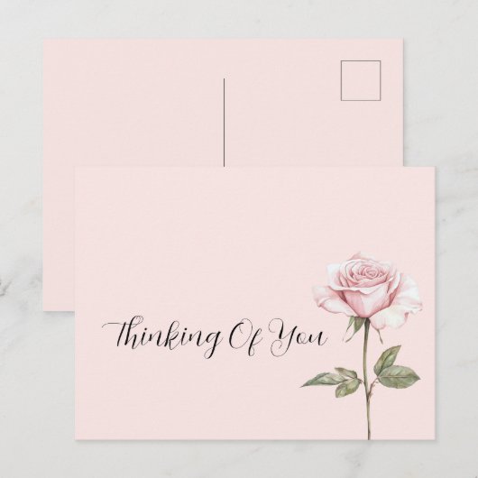 Mooie Roze Roos Bloem Briefkaart (Voorkant / Achterkant)