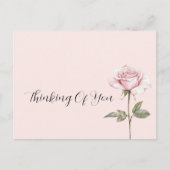 Mooie Roze Roos Bloem Briefkaart (Voorkant)
