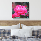 Mooie Roze Roos Bloem Canvas Afdruk (Insitu (Slaapkamer))