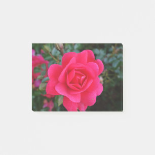 mooie roze roos bloem fotografie post-it® notes
